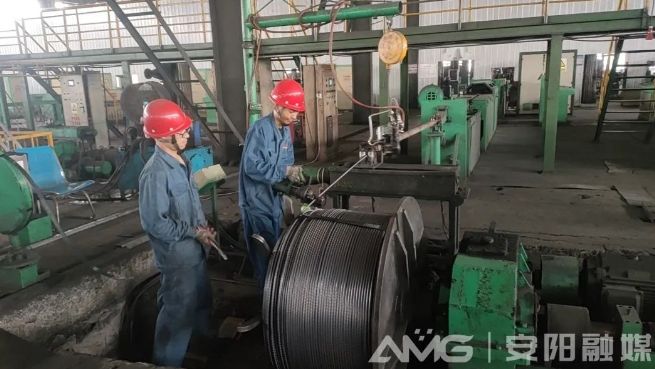 安陽(yáng)加快催生新質(zhì)生產(chǎn)力一線觀察丨綠色“小巨人”是如何長(zhǎng)成的